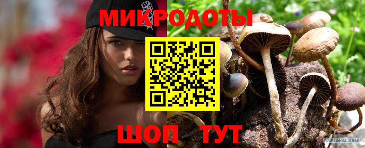 Псилоцибиновые грибы Psilocybine cubensis  наркота  Кудрово  Галлюциногенные грибы Magic Shrooms  Вход с VPN 