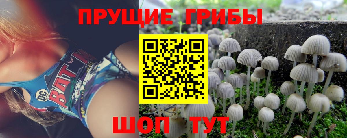 Псилоцибиновые грибы Magic Shrooms Кудрово
